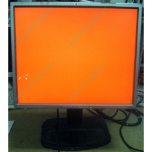 Монитор 19" TFT HP 1955 (DVI в Щербинке, USB-хаб) "квадратный" (Щербинка)