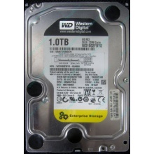 НЕРАБОЧИЙ жесткий диск 1Tb WD RE3 WD1002FBYS (Щербинка)