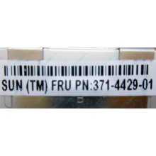 Серверная память SUN (FRU PN 371-4429-01) 4096Mb (4Gb) DDR3 ECC в Щербинке, память для сервера SUN FRU P/N 371-4429-01 (Щербинка)