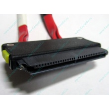 SATA-кабель для корзины HDD HP 451782-001 459190-001 для HP ML310 G5 (Щербинка)
