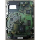 Жесткий диск 18.4Gb Quantum Atlas 10K III U160 SCSI (Щербинка)