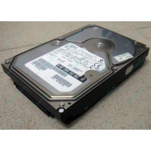 Жесткий диск 18.2Gb IBM Ultrastar DDYS-T18350 Ultra3 SCSI (Щербинка)