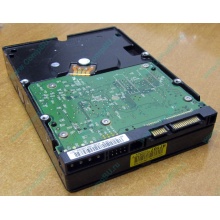 Б/У жёсткий диск 400Gb WD WD4000YR Caviar RE2 7200 rpm SATA  (Щербинка)