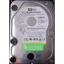 Б/У жёсткий диск 500Gb Western Digital WD5000AVVS (WD AV-GP 500 GB) 5400 rpm SATA (Щербинка)