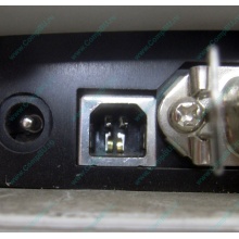 Термопринтер Zebra TLP 2844 (выломан USB разъём в Щербинке, COM и LPT на месте; без БП!) - Щербинка