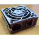 HP 224977 (224978-001) for Proliant ML370 G2/G3/G4 (Щербинка).