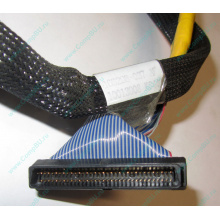 Кабель SCSI HP 166298-037 для HP ML370 G4 (Щербинка)
