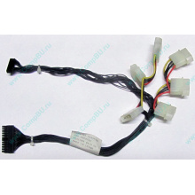 59P4789 FRU 59P4792 в Щербинке, кабель IBM 59P4789 FRU 59P4792 для серверов X225 (Щербинка)